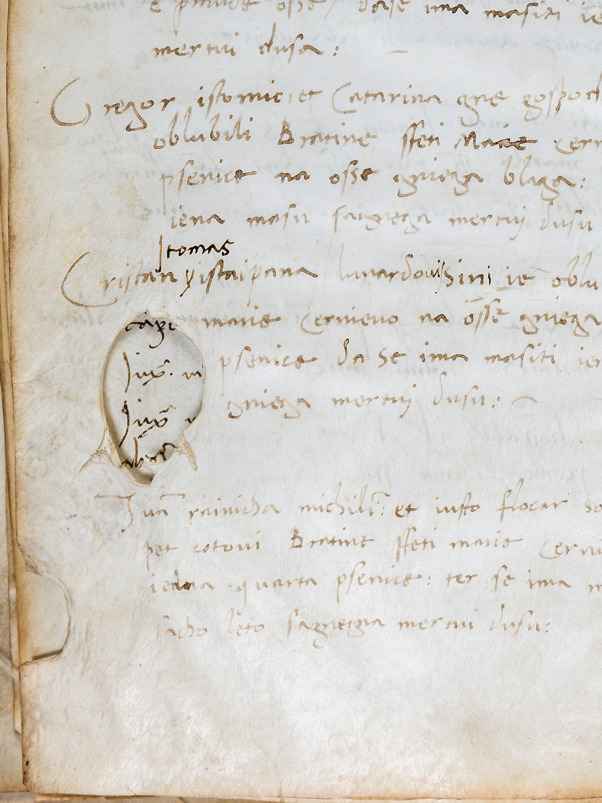 Ancient languages in modern times. — 2.1