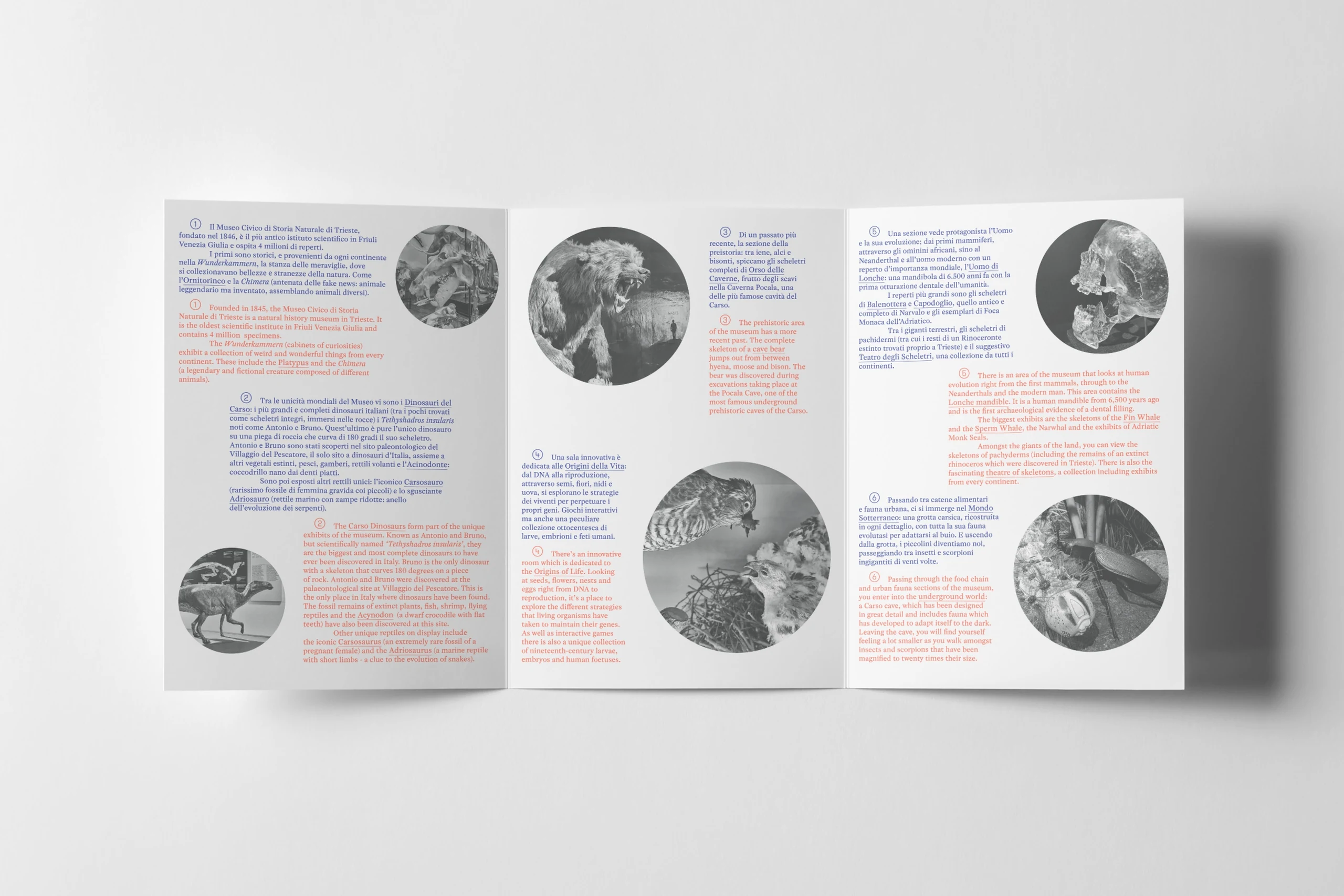 Restyling natural history. — 5.1