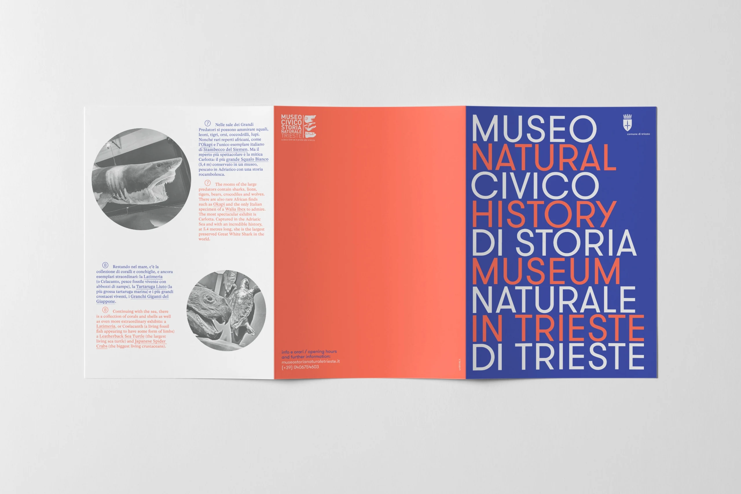 Restyling natural history. — 5.2