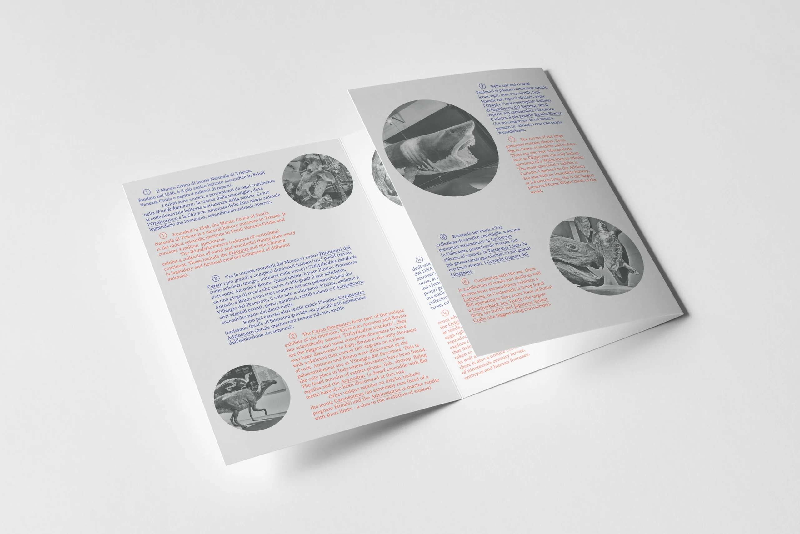 Restyling natural history. — 5.3
